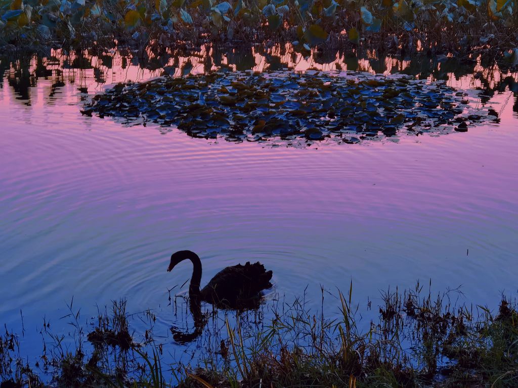 1647854336356871.jpg 1647854336356871.jpg