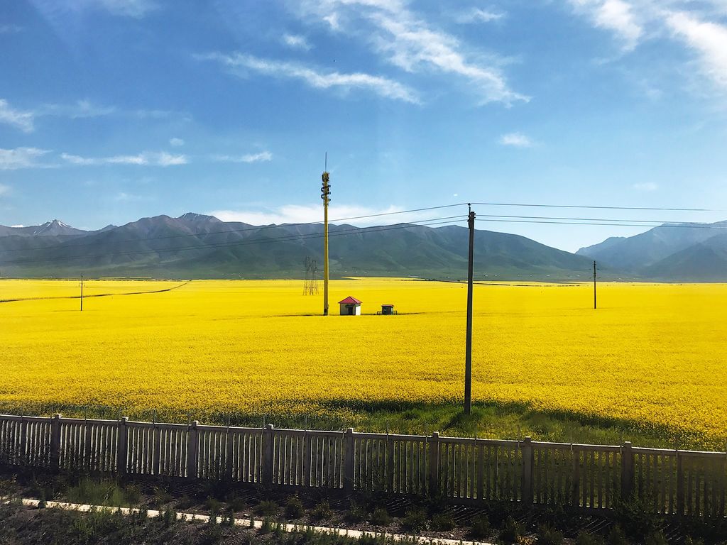 1647854372413191.jpg 1647854372413191.jpg