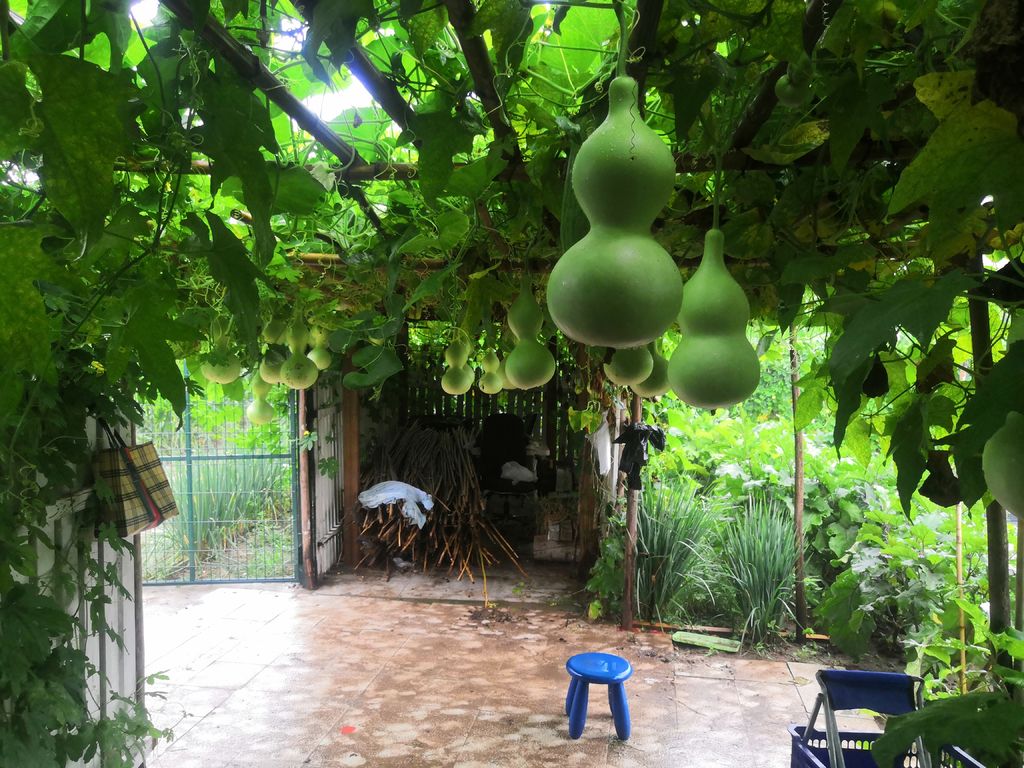 1647854404376643.jpg 1647854404376643.jpg